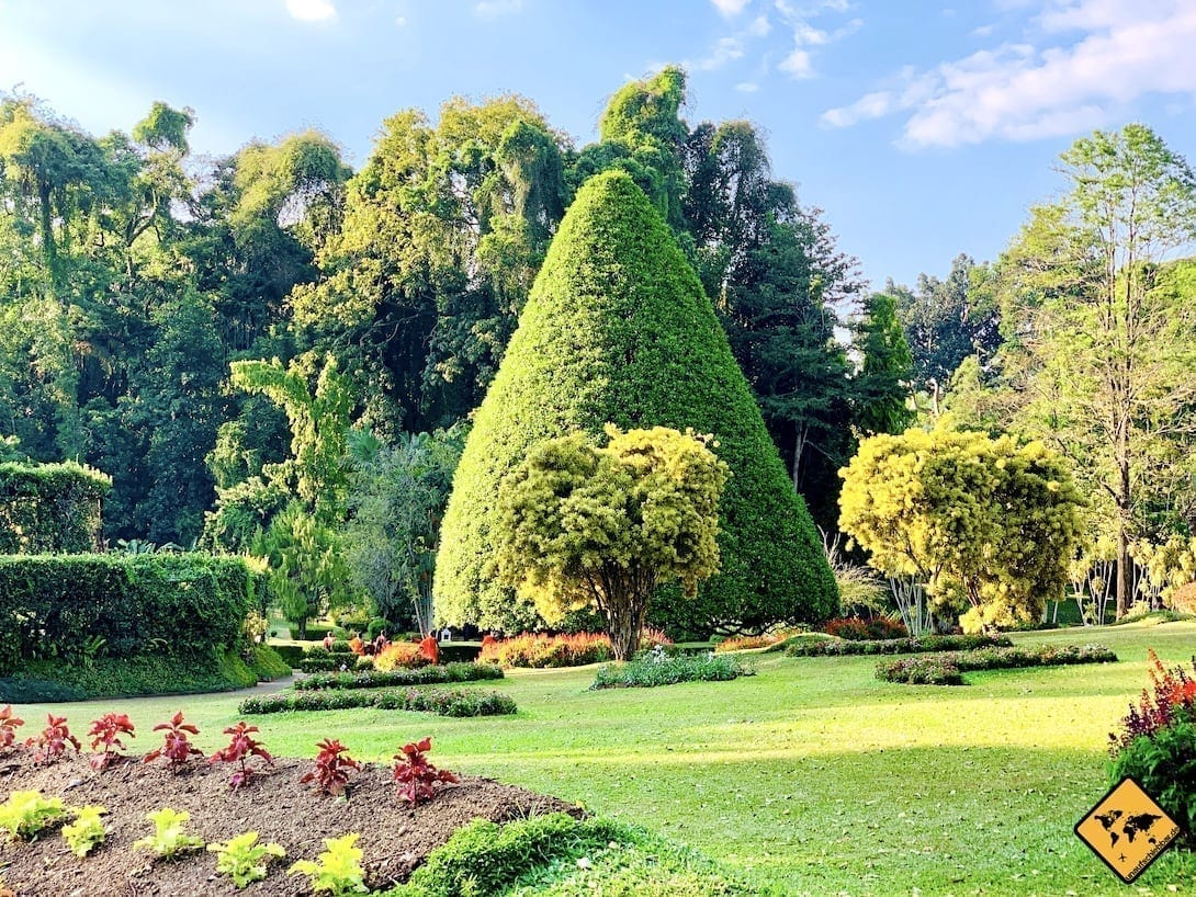 Feel free to enjoy the freshness in Royal Botanic Garden in Sri Lanka