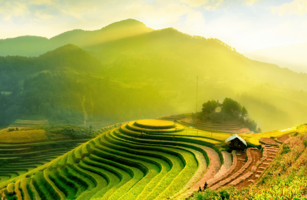 14 DAY VIETNAM DISCOVERY WITH SAPA