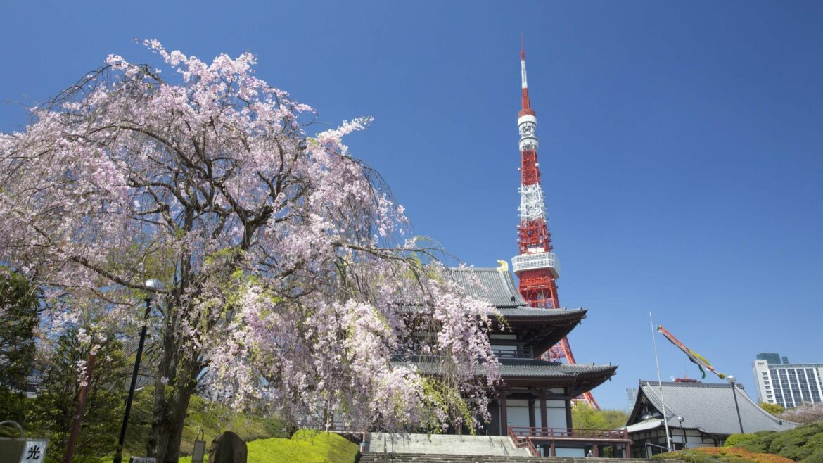 Tokyo Tower is included in Japan tours offered by Asia Vacation Group.