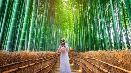Japan Arashiyama Kyoto Bamboo forest