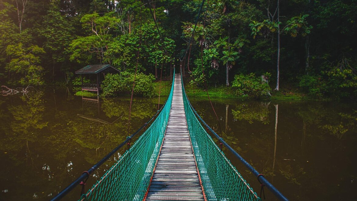 Borneo Sabah Bridge in forest, included in tours offered by Asia Vacation Group