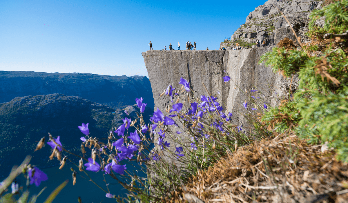From June to August, daylight stretches into the wee hours, offering ample opportunities for outdoor pursuits such as hiking along the scenic fjords.