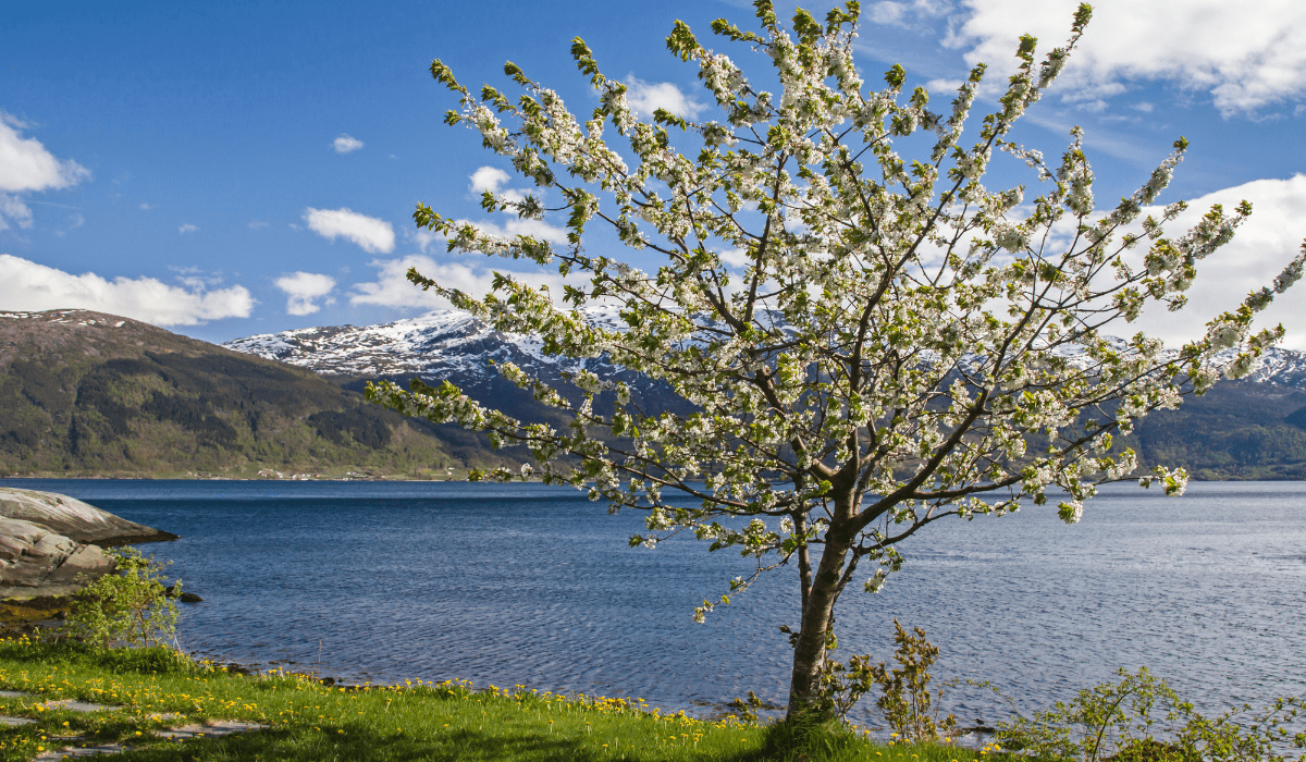 Spanning from March to May, the best way to enjoy your spring fjord adventures is to dress in layers for the changing weather