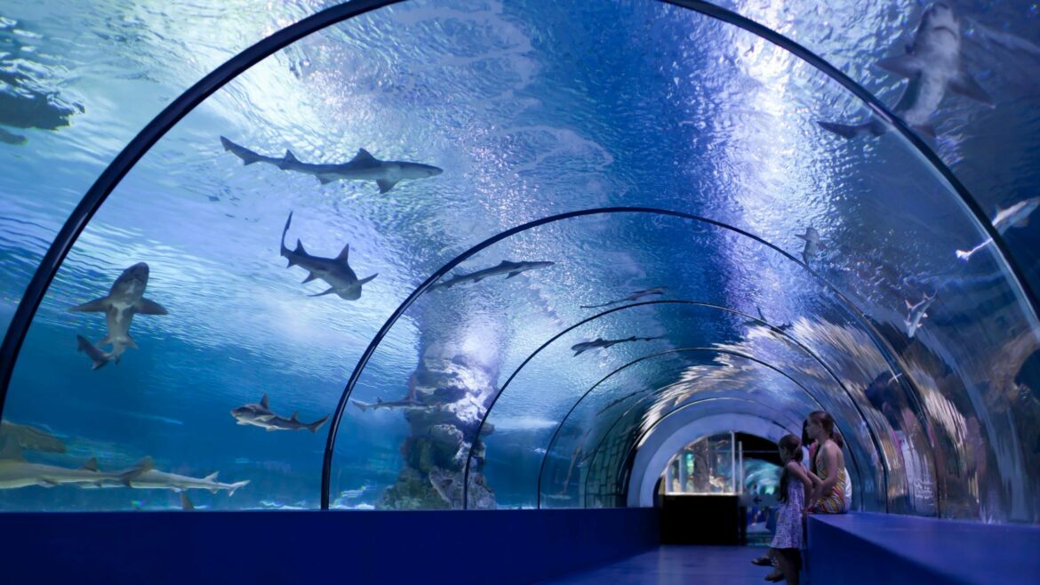 Osaka Aquarium is included in Japan tours offered by Asia Vacation Group.