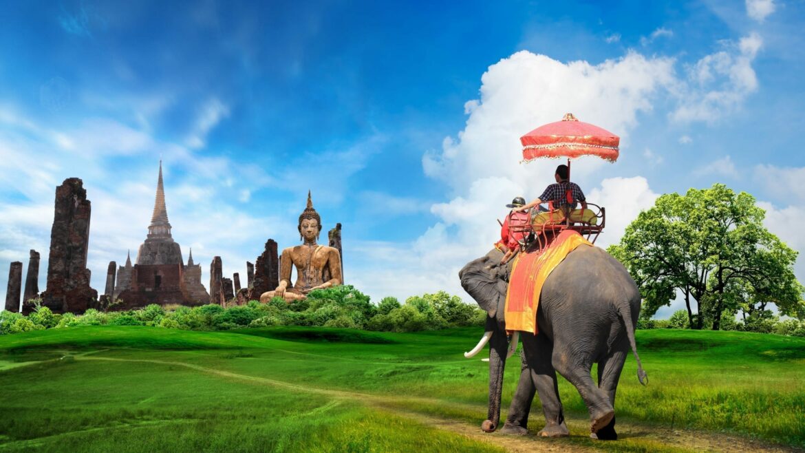 elephant-in-thailand