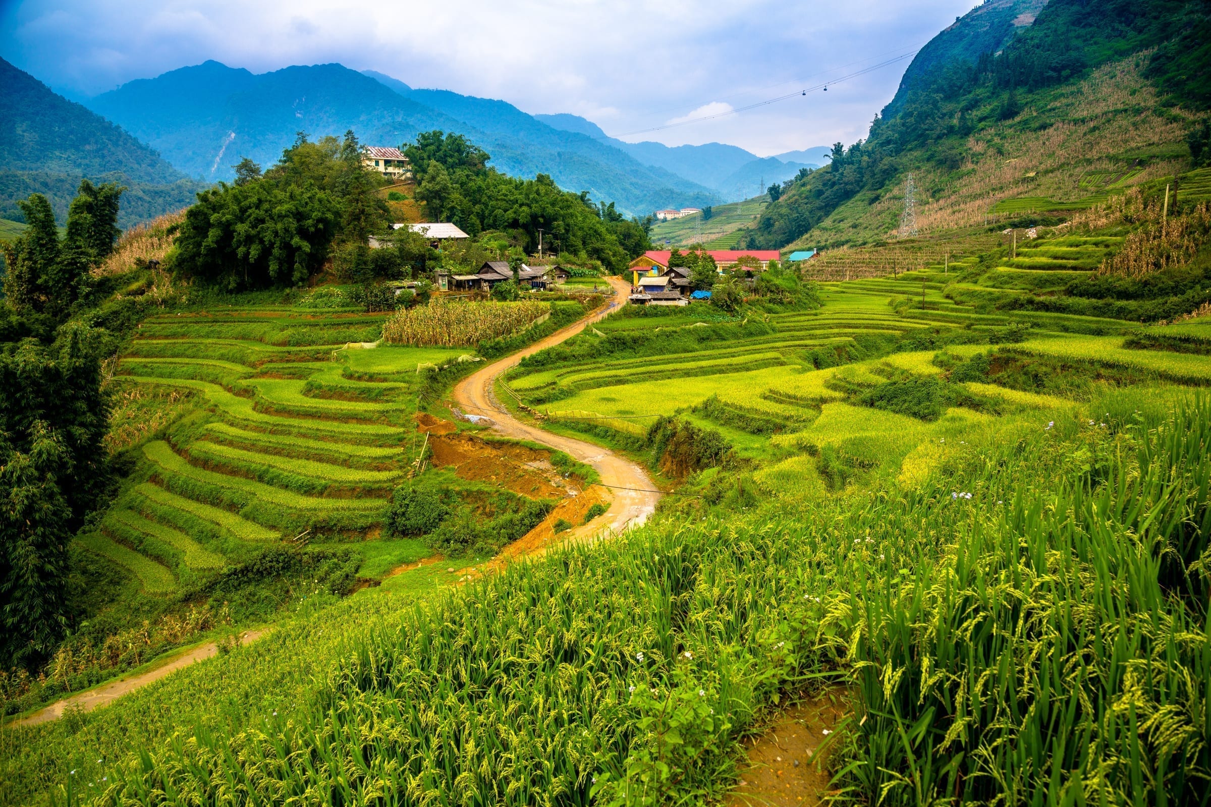 vietnam-sapa-rice-field-terraces